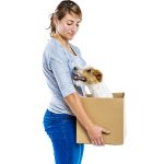 Young woman with her cute parson russell terrier dog in cardboard box moving, isolated on white background